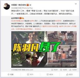 奚安娜爆料原文视频在线观看,揭秘背后真相  第3张