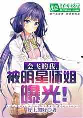 师姐圈内爆料小说,揭开神秘小说背后的惊天秘密