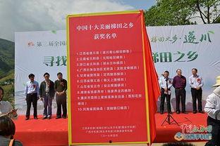 遂川新闻爆料,揭秘当地热点事件背后的真相  第3张