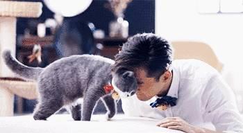 猫奴娱乐圈爆料,揭秘明星与萌宠的甜蜜日常