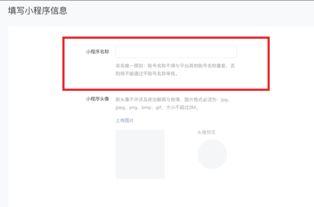 爆料小程序起名大全最新,爆款名称背后的创意与灵感  第2张