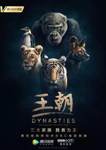东北猛兽爆料视频完整版,揭秘神秘生物真实面目