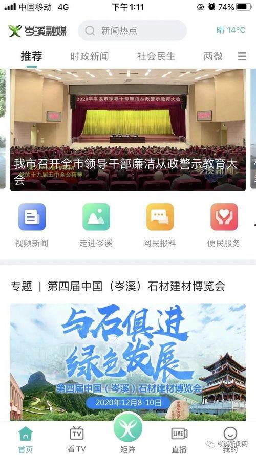 岑溪新闻爆料,揭秘当地热点事件背后的真相