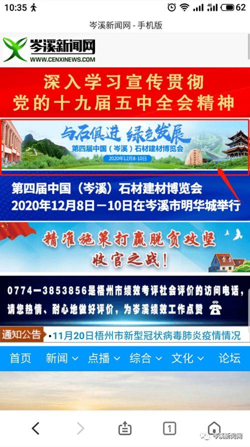岑溪新闻爆料,揭秘当地热点事件背后的真相  第3张
