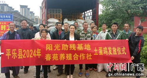 桂林平乐镇爆料新闻事件,真相与影响揭秘  第2张
