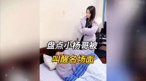 小杨哥搞笑视频爆料,笑料百出，揭秘娱乐圈幕后趣闻  第3张