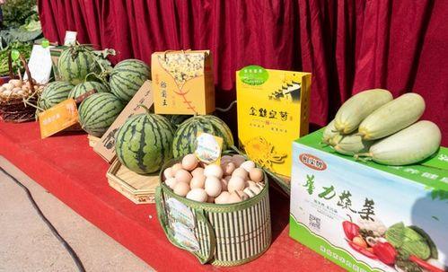 淮北吃瓜最新事件爆料,揭秘背后惊人真相！  第3张