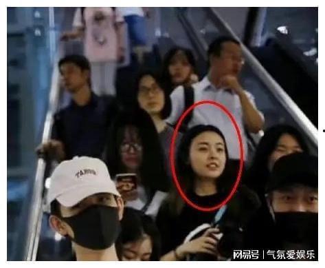 大鹰爆料大姐视频大全集,揭秘视频大全集背后的故事与真相