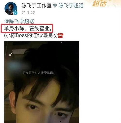 大鹰爆料大姐视频大全集,揭秘视频大全集背后的故事与真相  第2张
