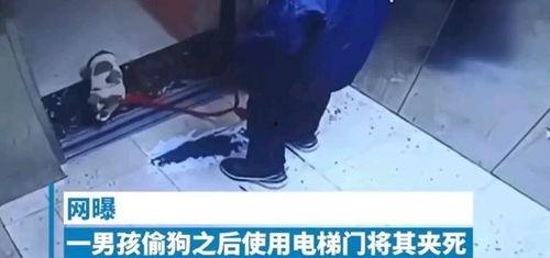 韩国男孩爆料视频大全,揭秘校园生活与青春岁月  第2张