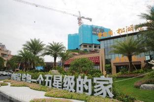 东莞地产爆料最新消息,揭秘新项目与市场趋势洞察  第2张