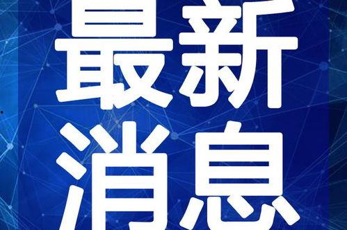 林州爆料新闻最新视频,视频揭露惊人真相，引发社会关注