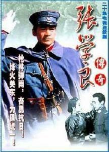少帅传奇全集在线观看,风云变幻，一代枭雄的传奇人生