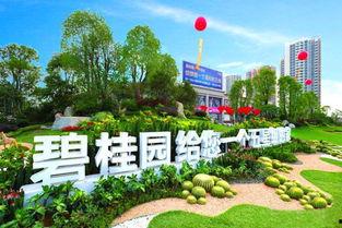 安国碧桂园最新爆料,揭秘项目最新进展与亮点 第2张 安国碧桂园最新爆料,揭秘项目最新进展与亮点 第2张