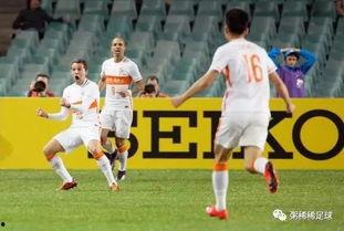 山东鲁能泰山最新爆料,揭秘新赛季备战与转会传闻！”  第3张