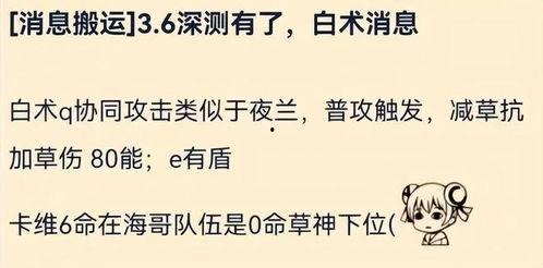 白术爆料最新消息视频,揭秘视频背后的惊人真相