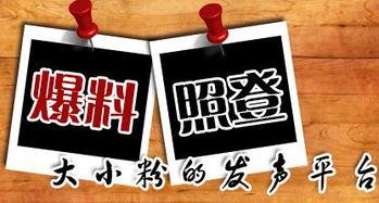 宜良新闻爆料,揭秘宜良最新爆料事件！