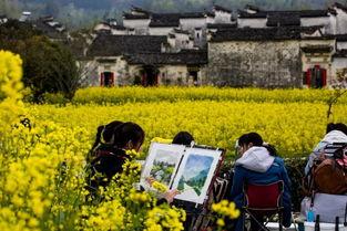 清明最新爆料视频,揭秘神秘事件背后的惊人真相  第2张