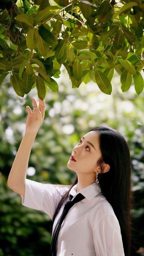 西瓜条条爆料娱乐圈,娱乐圈幕后故事大曝光 第3张 西瓜条条爆料娱乐圈,娱乐圈幕后故事大曝光 第3张