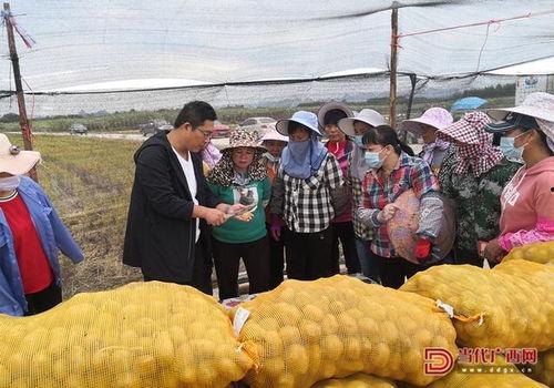 技术者们在线观看土豆,在线观看土豆背后的技术奥秘