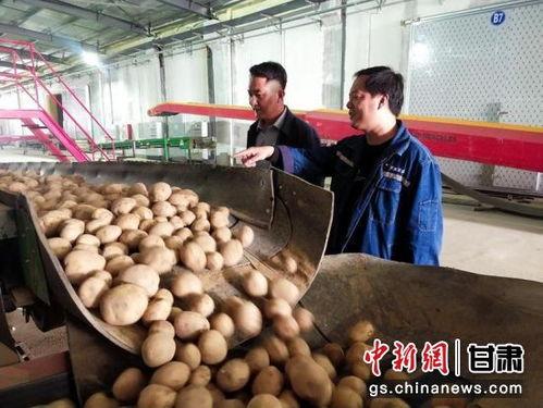 技术者们在线观看土豆,在线观看土豆背后的技术奥秘  第3张