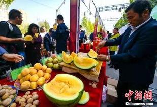 武都吃瓜最新事件爆料,揭秘最新事件背后真相  第2张