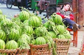 武都吃瓜最新事件爆料,揭秘最新事件背后真相  第3张