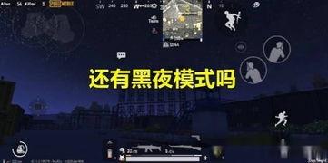 吃鸡新特效爆料视频在哪看,最新爆料视频观看指南  第2张