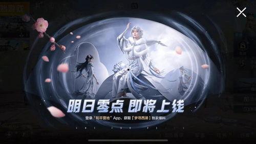 吃鸡新特效爆料视频在哪看,最新爆料视频观看指南  第3张