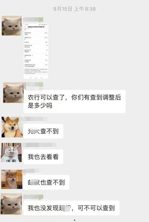 最新爆料的农行,揭秘农业银行改革与发展新动向  第3张