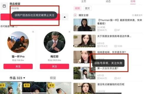 广东网红爆料新闻视频,揭秘新闻背后的真相  第3张