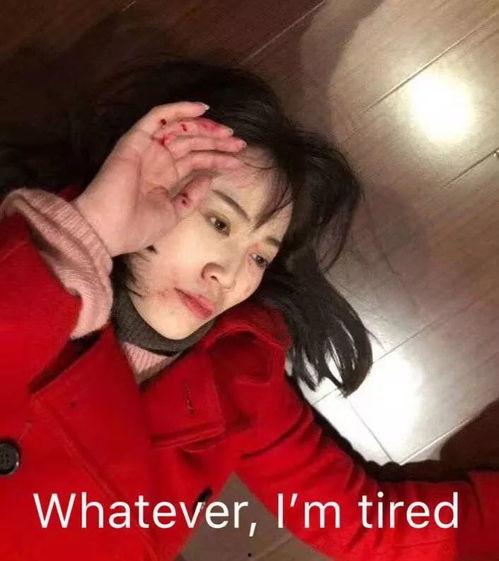 张云雷郑爽最新爆料,娱乐圈风云再起，真相揭秘！  第2张