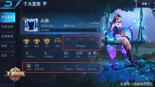 王者日常爆料怎么弄的视频,揭秘游戏幕后制作过程  第2张