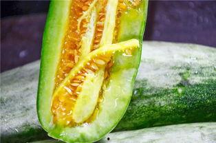 哪个网红吃瓜了,揭秘娱乐圈最新热点  第3张