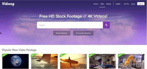 深度爆料视频素材无水印,深度解析无水印视频素材背后的故事