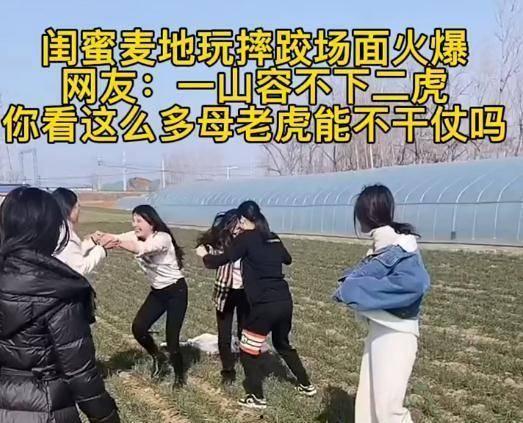 一群人爆料视频大全集,揭开真相背后的故事