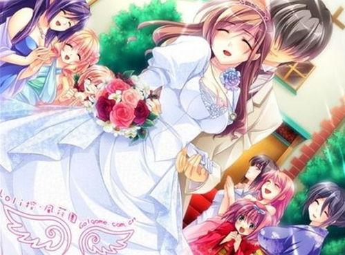 妻管员在线观看手机,揭秘家庭隐私的微妙平衡  第2张