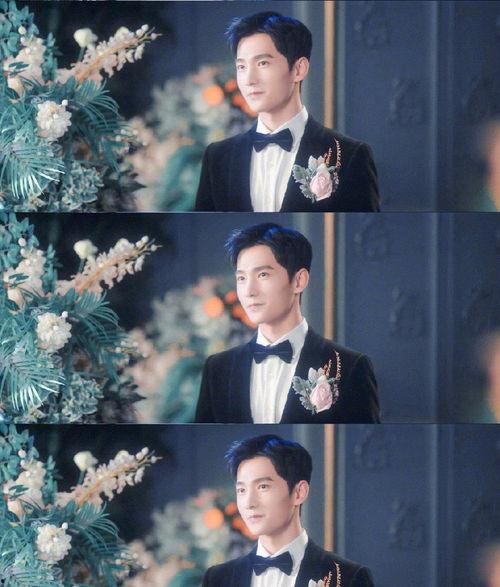 丁真全网最新爆料,揭秘全网热议背后的真实故事  第3张