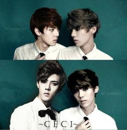 圈内人爆料勋鹿,甜蜜互动引粉丝热议  第2张