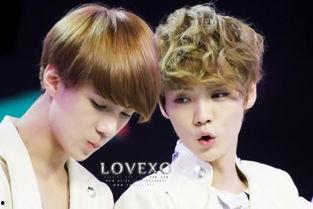 圈内人爆料勋鹿,甜蜜互动引粉丝热议  第3张