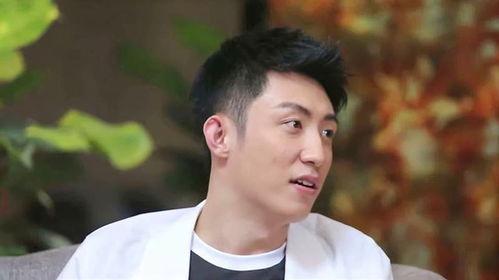 圈内爆料黄景瑜王雨馨,圈内爆料背后的真相