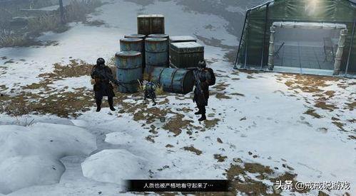 白树最新爆料,揭秘娱乐圈惊人内幕  第2张